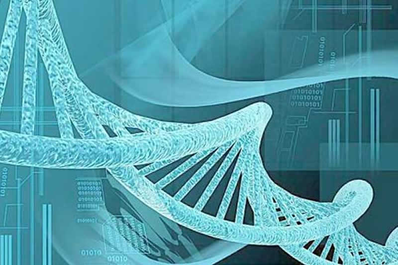 北京单身女性是否允许生育，手续如何办理