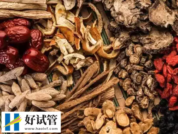 备孕期间能不能喝暖宫的中药(图1) 备孕期间能不能喝暖宫的中药(图1)