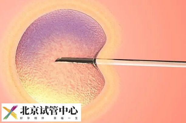 为什么高龄试管婴儿移植4aa囊胚比5bb囊胚更好？(图1)