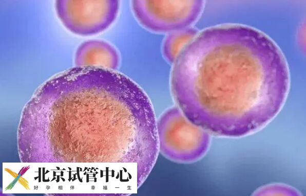 试管婴儿促排取卵少的原因是长期熬夜内分泌紊乱吗？(图1)