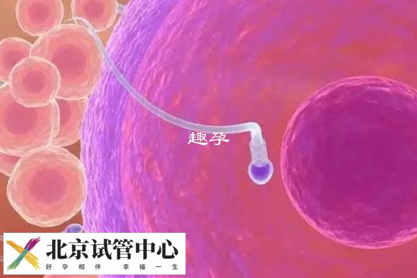 女性免疫性不孕要做哪些检查(图1)