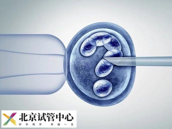 高龄试管放2个胚胎成活率高不高(图1)