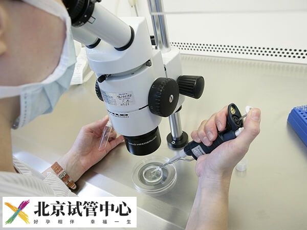 高龄试管放2个胚胎成活率高不高(图2)