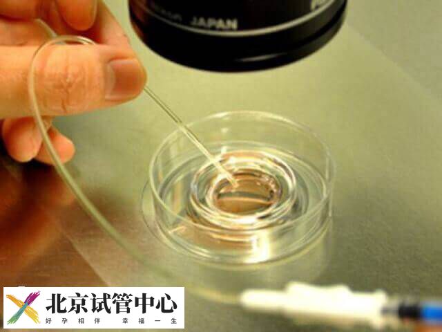 北京胚胎着床后是不是就稳定了
