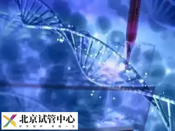 取卵多为什么配成胚胎的少