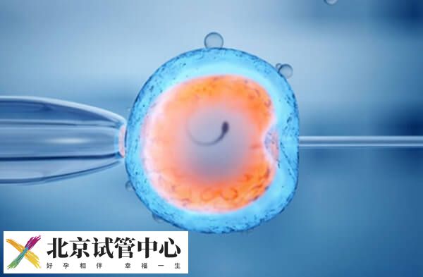 鲜胚移植十天擅自停药有什么影响