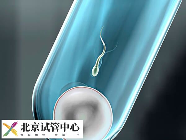 试管婴儿哪些阶段不能同房