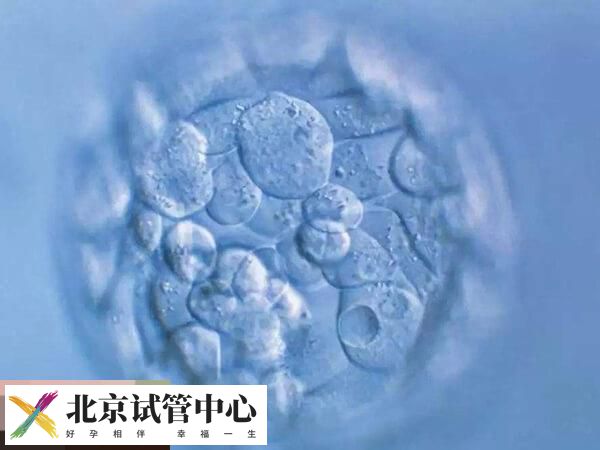 鲜胚6c2和7c2优劣分析,其质量、移植成功率怎么样速看(图2) 鲜胚6c2和7c2优劣分析,其质量、移植成功率怎么样速看(图2)