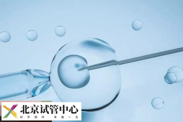 鲜胚囊胚冻胚的含义介绍,移植哪个成功率高赶紧来看(图1) 鲜胚囊胚冻胚的含义介绍,移植哪个成功率高赶紧来看(图1)