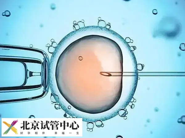 胚胎移植后着床会有什么感觉(图2) 胚胎移植后着床会有什么感觉(图2)