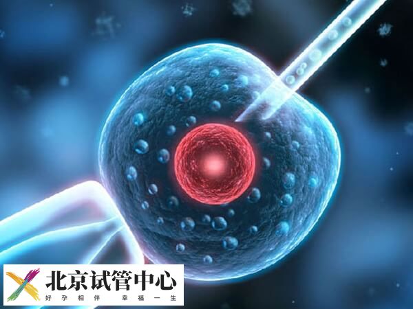 取卵手术的过程是什么(图1) 取卵手术的过程是什么(图1)