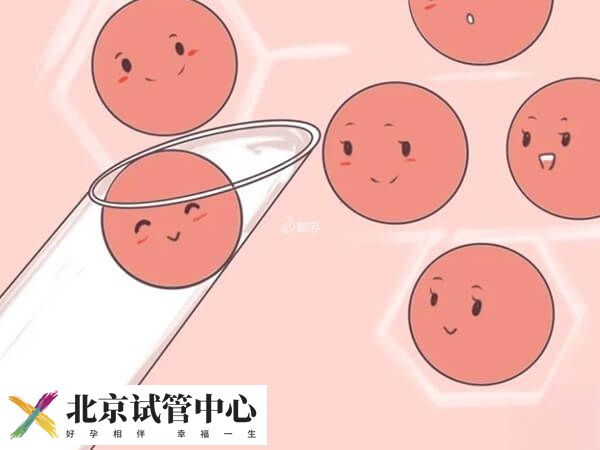 取卵手术的过程是什么(图2) 取卵手术的过程是什么(图2)