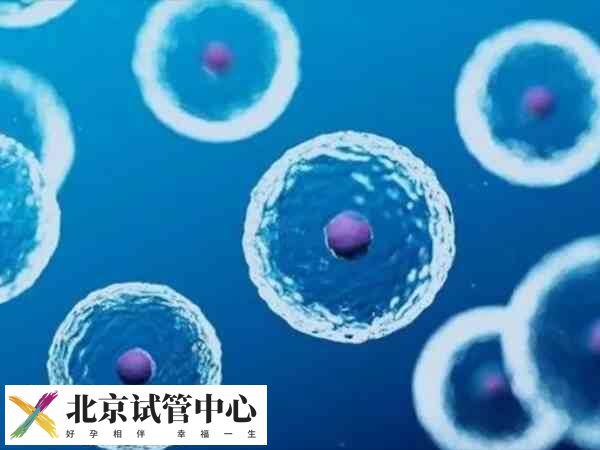 北京生殖中心有哪些(图1) 北京生殖中心有哪些(图1)