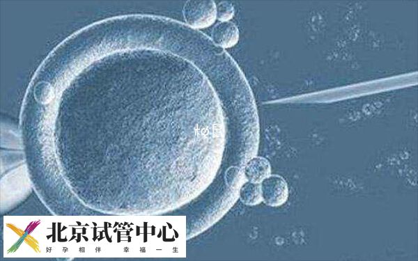 北京三代试管医院有哪些(图1) 北京三代试管医院有哪些(图1)