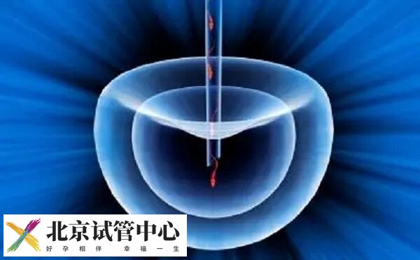 强迫症试管做几代比较好(图1) 强迫症试管做几代比较好(图1)