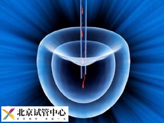 桥本甲状腺炎做试管比较好还是自然受孕好(图1) 桥本甲状腺炎做试管比较好还是自然受孕好(图1)