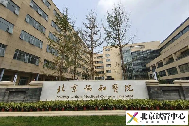 中国医学科学院北京协和医院(图1)