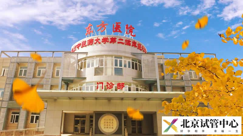 北京中医药大学东方医院 北京东方医院(图2)