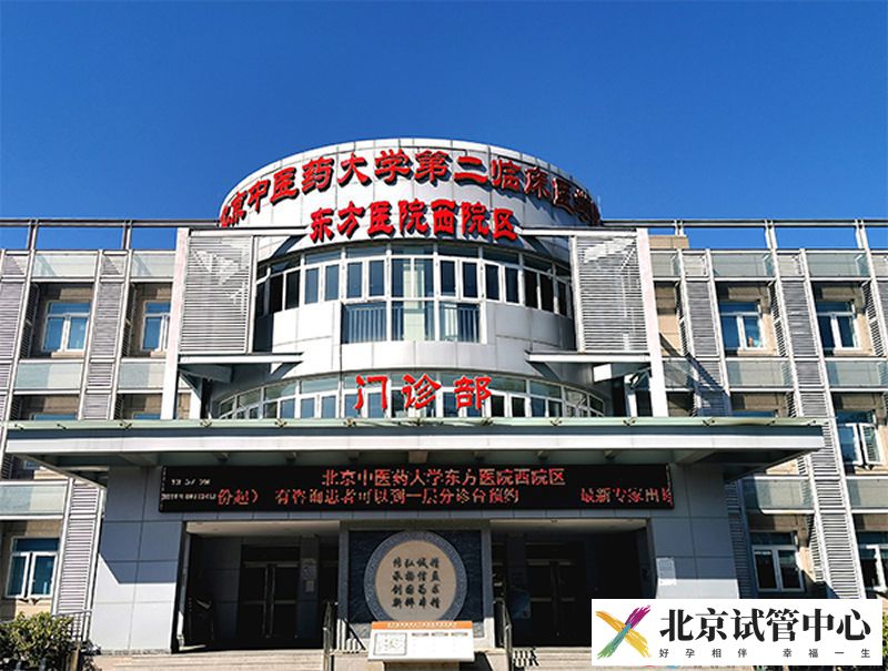 北京中医药大学东方医院 北京东方医院(图4)