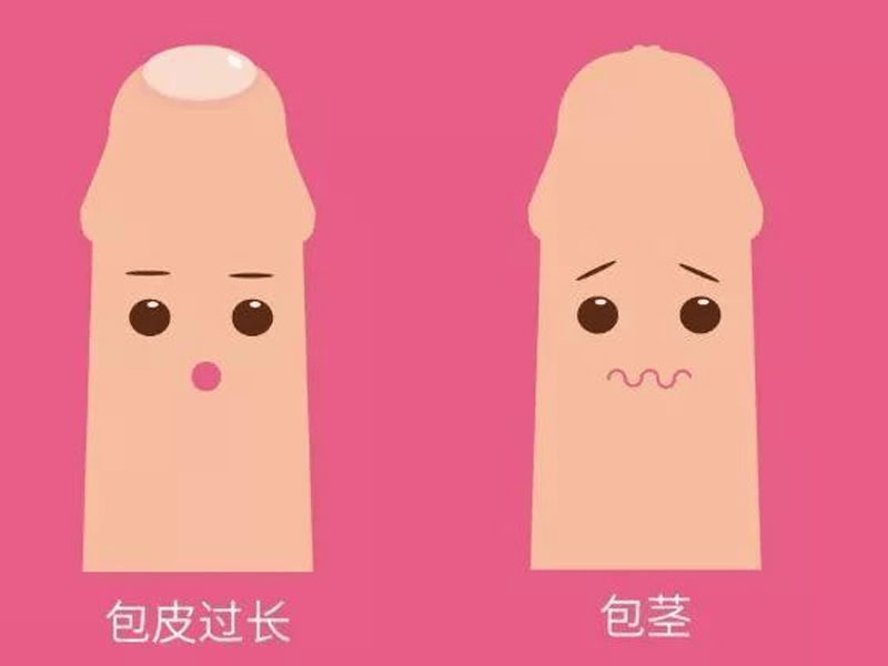 三代试管婴儿 北京市朝阳区孕前检查北京孕前检查免费政策出炉,想去朝阳妇幼科室别挂错(图1)